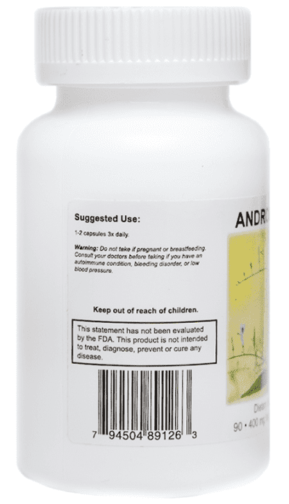 Andrographis - 90 Capsules - Image 2
